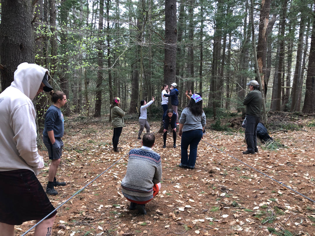 Spotters Ready: Low Challenge Course Elements Programming