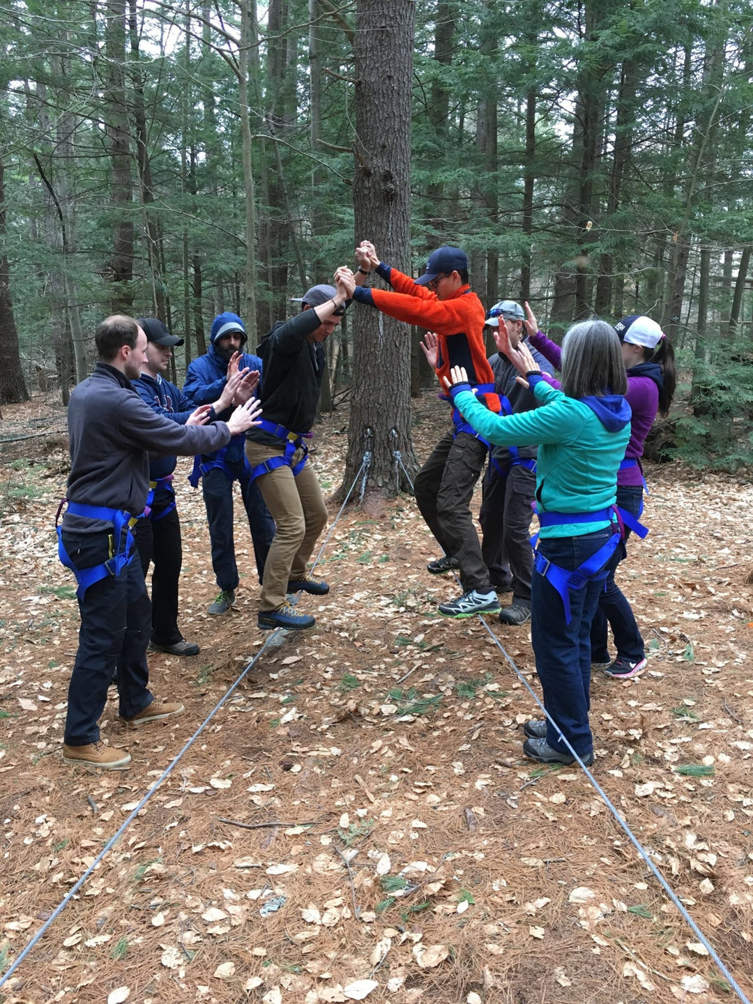 Spotters Ready: Low Challenge Course Elements Programming – High 5